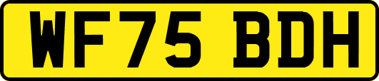 WF75BDH