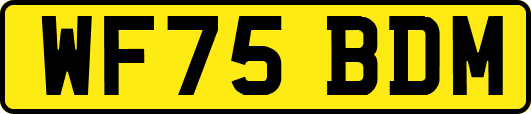 WF75BDM