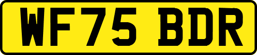 WF75BDR