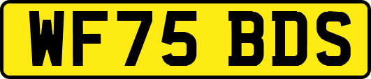 WF75BDS