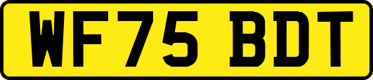 WF75BDT