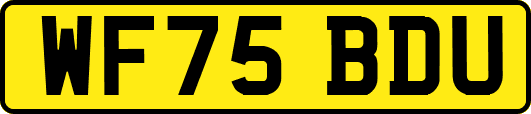 WF75BDU