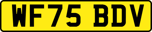 WF75BDV