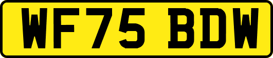 WF75BDW