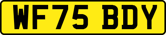 WF75BDY