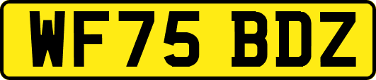 WF75BDZ
