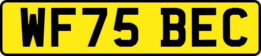 WF75BEC