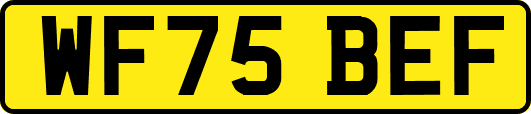 WF75BEF