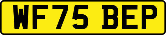 WF75BEP
