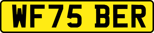 WF75BER