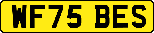 WF75BES