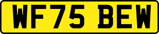 WF75BEW