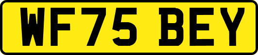 WF75BEY