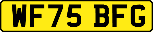 WF75BFG