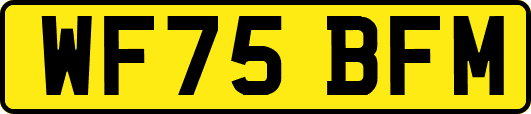 WF75BFM