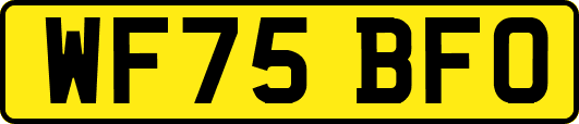 WF75BFO