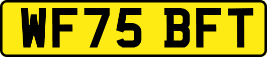 WF75BFT