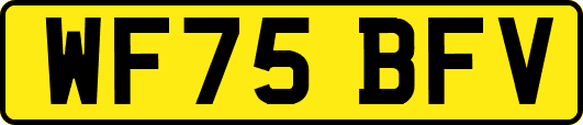 WF75BFV
