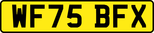 WF75BFX