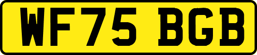 WF75BGB
