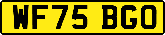 WF75BGO