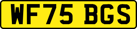 WF75BGS