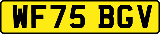 WF75BGV
