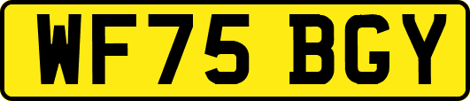 WF75BGY
