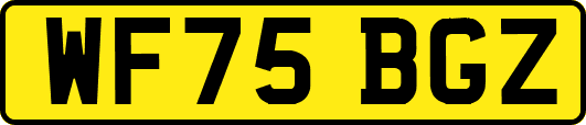 WF75BGZ