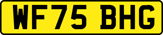 WF75BHG