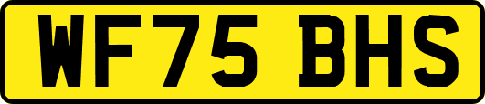 WF75BHS