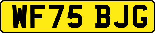 WF75BJG