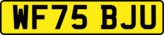 WF75BJU