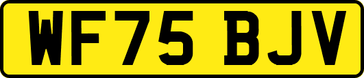 WF75BJV