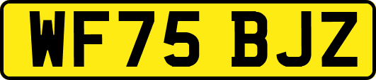 WF75BJZ