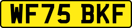WF75BKF