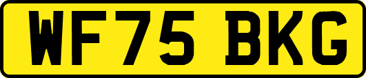 WF75BKG