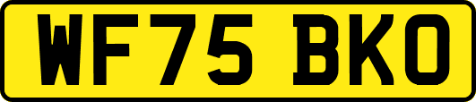 WF75BKO