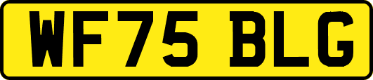WF75BLG