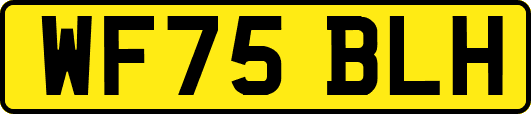 WF75BLH