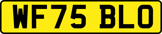 WF75BLO