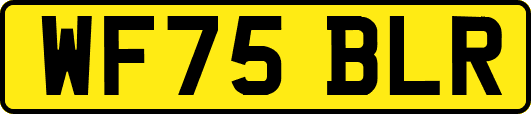 WF75BLR