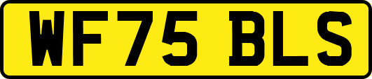 WF75BLS