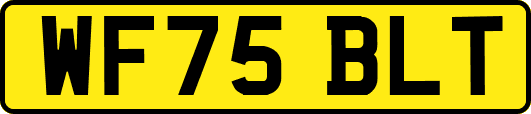 WF75BLT