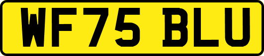 WF75BLU