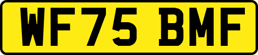 WF75BMF