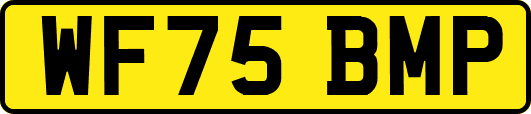WF75BMP