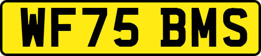 WF75BMS