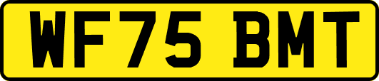 WF75BMT