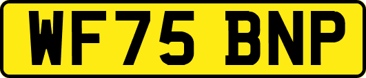 WF75BNP